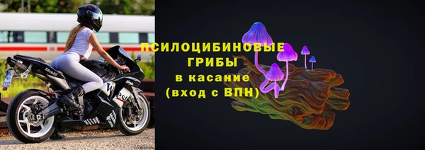 дживик Алексин