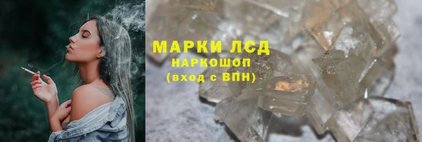 сатива Аркадак