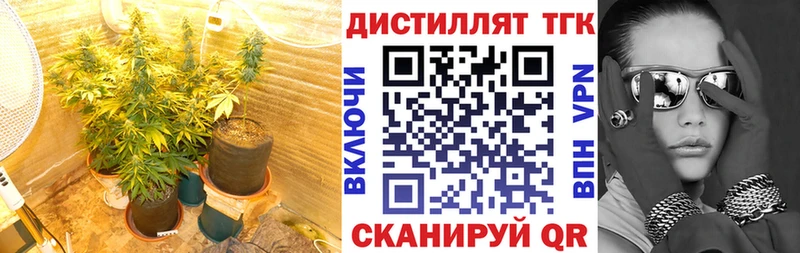 Дистиллят ТГК Wax  Лысьва 